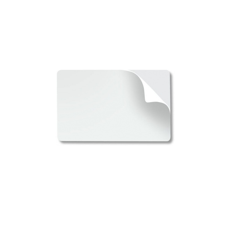 ZEBRA PAQUETE 500 TARJETAS  ADESIVAS 10MILESIMA - Código: 104523-010 | Compra en Guadalajara